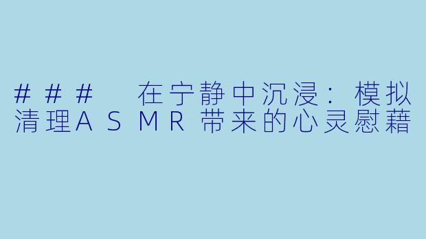 ### 在宁静中沉浸：模拟清理ASMR带来的心灵慰藉