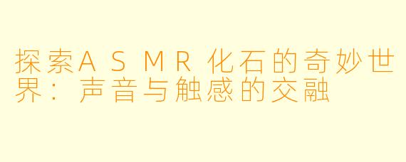 探索ASMR化石的奇妙世界：声音与触感的交融