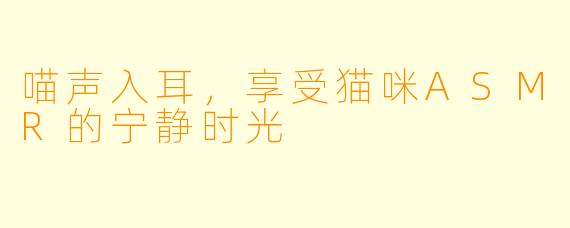 喵声入耳，享受猫咪ASMR的宁静时光