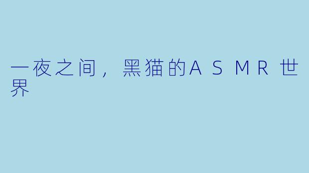 一夜之间，黑猫的ASMR世界