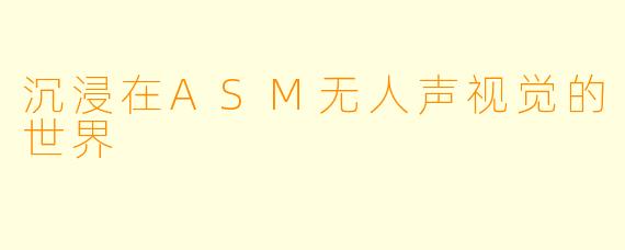沉浸在ASM无人声视觉的世界