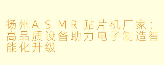 扬州ASMR贴片机厂家:高品质设备助力电子制造智能化升级