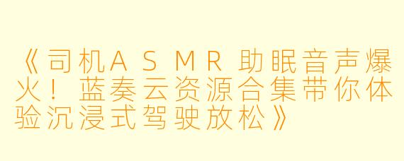 《司机ASMR助眠音声爆火！蓝奏云资源合集带你体验沉浸式驾驶放松》