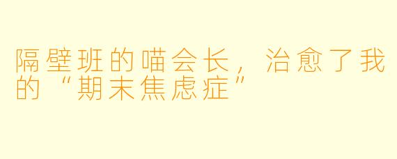 隔壁班的喵会长,治愈了我的“期末焦虑症”